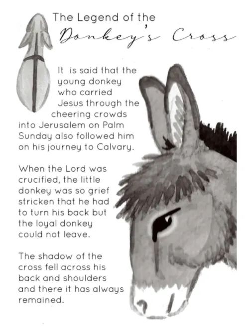 donkey cross illustration