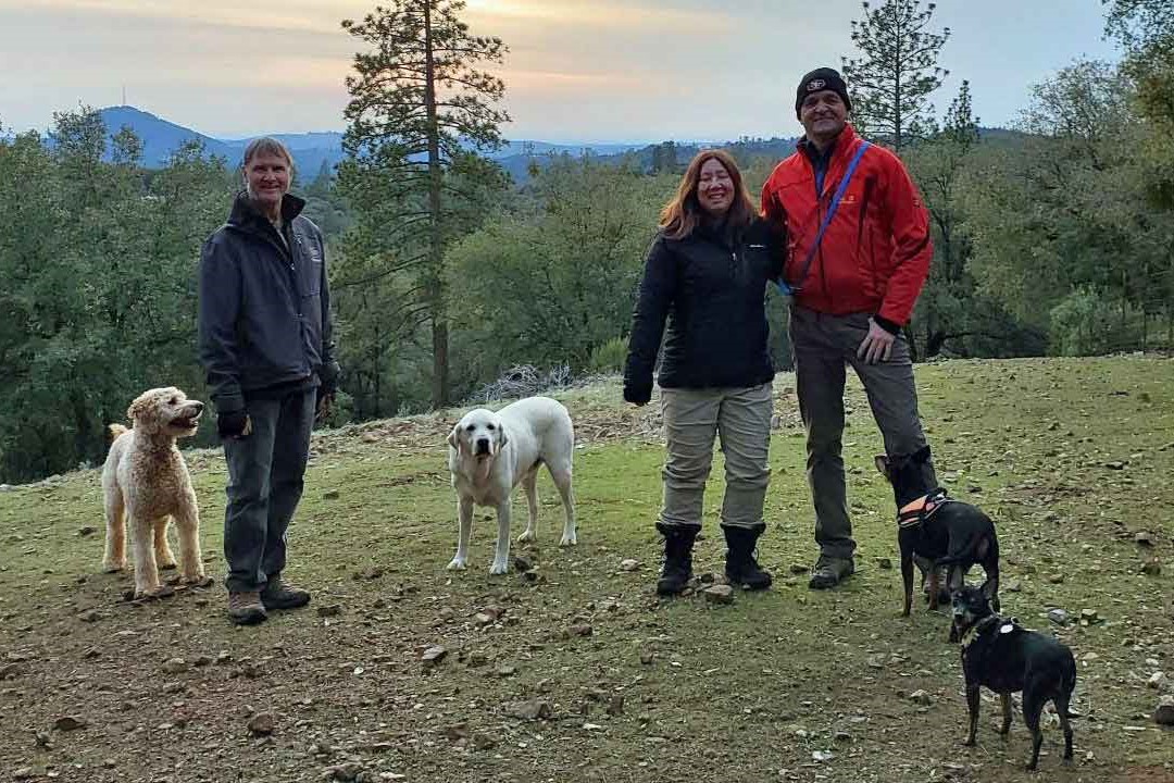 Hiking with dogs