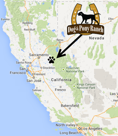 Map to vacation rental in Jackson, Northern California