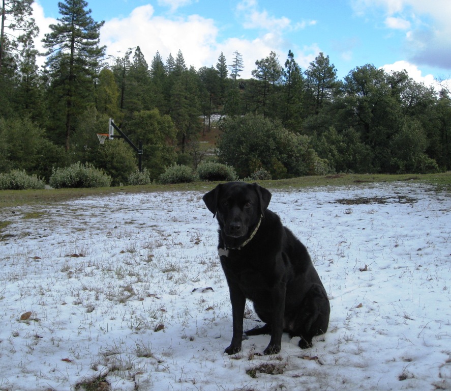 Dusting of snow at Northern California vacation rental